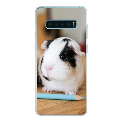 Produktbild von MuchoWow® Handyhülle Schutzhülle Hülle für Samsung Galaxy S10 Lite Entzückende Baby-Meerschweinchen Silikon Softcase Handy Hülle - Schutz