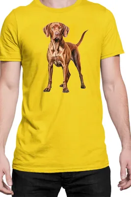 Produktbild von Herren T-Shirt Dogs Breeds Vizsla Dog Breed 006, Man S / Gelb