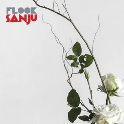 Obrázek produktu pro Flook: Flook: Sanju -   - (CD / S)