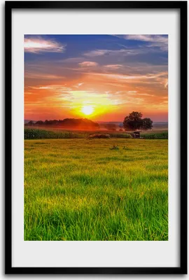 Produktbild von Bild - Bilderrahmen - 40 cm x 60 cm - MDF - Rahmen - Wandkunst - Sonnenuntergang