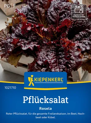 Produktbild von Kiepenkerl Pflücksalatsamen Rosela Lactuca sativa 400 Pflanzen