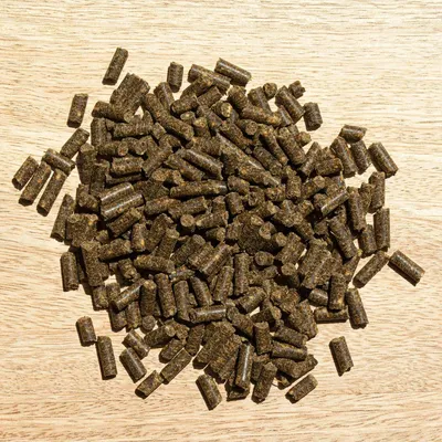 Produktbild von St. Hippolyt Hefekultur | 2,5 kg