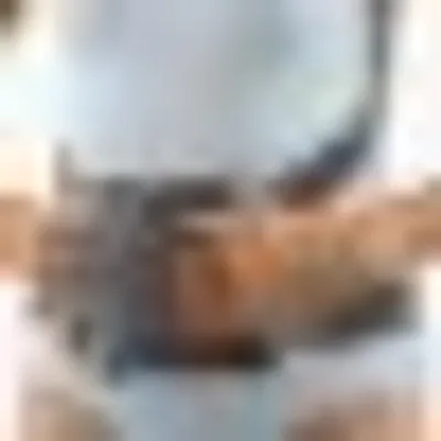 Produktbild von Bort Osteoporose-Orthese Generation, blau>>>>Gr. L