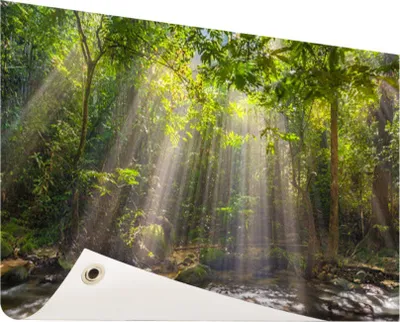 Produktbild von Gartenposter - 120x80 cm - Sonnenstrahlen durch das Laub  - Modernes Wandbilder - Natur