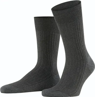 Image de FALKE Bristol Pure pour hommes