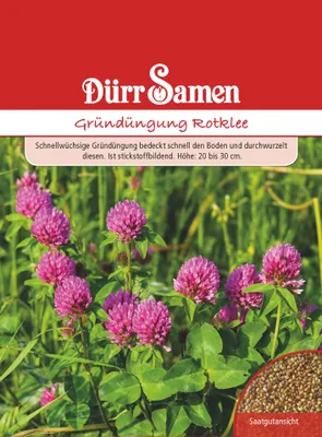 Artikelbild 1 von 'Gründüngung Rotklee' aus der Kategorie Blumensamen