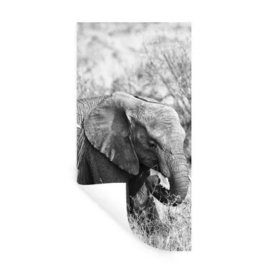 Produktbild von MuchoWow® Wandtattoo Wandsticker Wandaufkleber Elefant - Tiere - Gras - Schwarz und weiß 60x120 cm Selbstklebend und Repositionierbar - Selbstklebend - Fototapeten