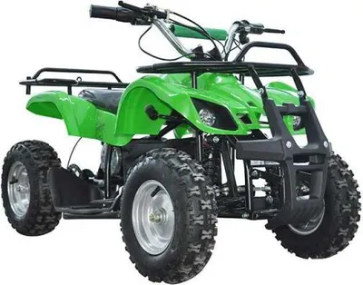 Produktbild von Pocketquad  Miniquad Quad Kinderquad Quad Pocketbike 800w Grün RV- Racing