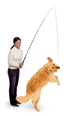 Produktbild von Karlie Dog Dangler Hunde Trainingsangel