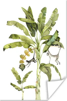 Produktbild von MuchoWow® Poster Dschungel - Affe - Tiere 60x90 cm - Wanddekoration