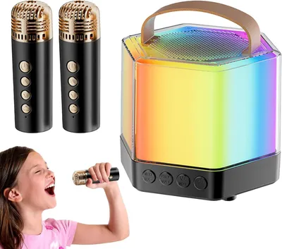 Productafbeelding van Draagbare Karaokemachine - Buitenmicrofoon Luidspreker - Feest Muziek - Twee Microfoons - 12x12x12 cm - Zwart