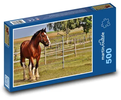 Zdjęcie produktu dla Puzzle 500 Koń w zagrodzie - martinpuzzle