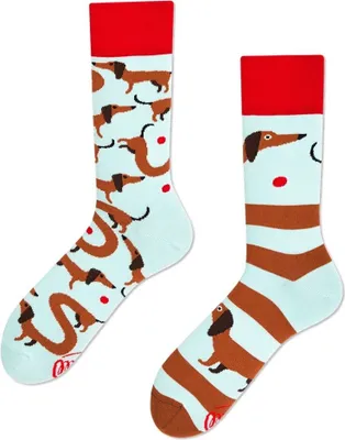 Immagine prodotto di Molte mattine Socken Salsiccia di cane 39-42