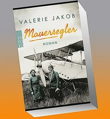 Image de Mauersegler