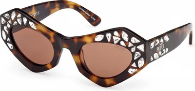 Produktbild von Pucci EP0239 Dark havana 50/23/140 Damen Sonnenbrillen