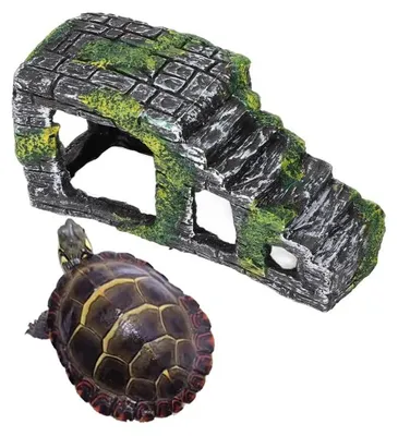 Productafbeelding van Schildpaddenzonneplatform, 22 cm, met klimhelling en schuilplaats
