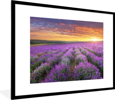 Produktbild von MuchoWow® Gerahmtes Poster Lavendel - Wolken - Frühling 80x60 cm - Poster mit Schwarzem Bilderrahmen Wandposter Rahmen Foto Bilder - Schlafzimmer-Dekorationen - Fotoposter