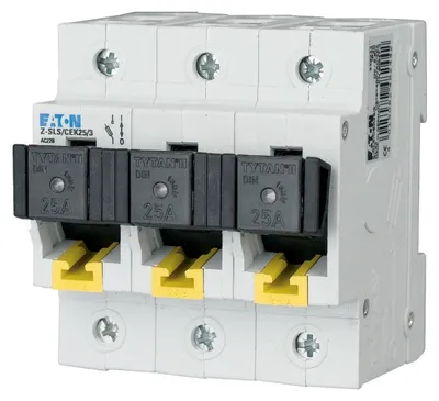 Immagine prodotto di Sezionatore con fusibili Z-SLS/CEK63/3 (263160)