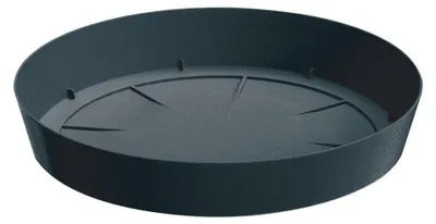 Produktbild von Prosperplast Schale LOFLY 15,5 cm - Farbe: Anthrazit