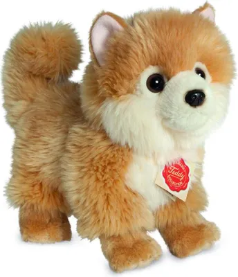 Produktbild von Teddy-Hermann Teddy Hermann Zwergspitz, 22 cm