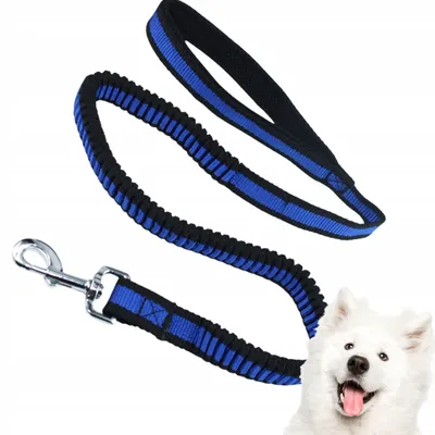Produktbild von POWERFUL Hundeleine mit Schockabsorber und Griff dehnbar wie ein Bungee 180cm