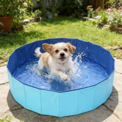 Produktbild von Hundepool Hundebad Katzenbad - Faltbar PVC - 50 x 10 cm - Größe M