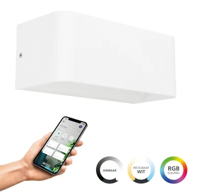 Obrázok produktu pre EGLO SANIA-Z, Obdĺžnik, 1 žiaroviek, 6500 K, IP55, Biela