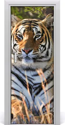 Produktbild von Tulup Türaufkleber 75x205 cm Dekorative Aufkleber Selbstklebend Wasserdichte Tapete Abnehmbar Schlafzimmer Wohnzimmer Wohnkultur - Tiger-Wand