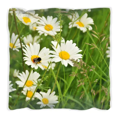 Produktbild von Wallario Premium Kissen, weiche Oberfläche, mit Motiv Margeritenwiese, Größe: 30 x 30 cm, mit weißer Rückseite