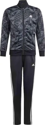 Zdjęcie produktu dla Dres Adidas IQ4113 dla Chłopięce