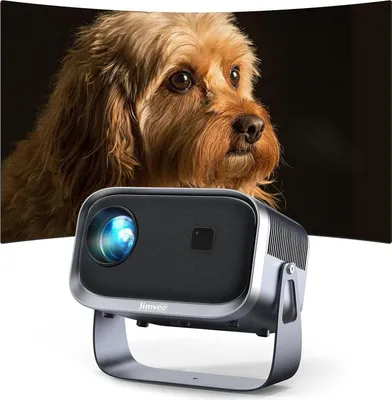 A projector is projecting an image of a dog onto a curved screen. The projector is in the foreground.