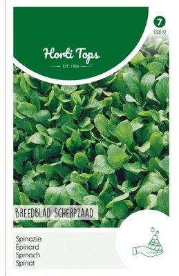 Obrázok produktu pre Špenát, pikantná odroda (250 g) | Semená špenátu od spoločnosti Hortitops