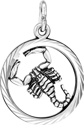 Produktbild von 18mm Sternzeichen Skorpion oxidiert 925 Silber diamantiert Anhänger Horoskop