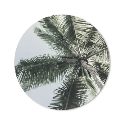 Produktbild von MuchoWow® Mauspad Mousepad Palme - Tropisch - Sommer 20x20 cm - Mousepads - Maus Mat - Pad - Mausunterlage - Schreibtischmatte