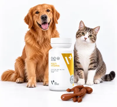 Imagen del producto de Suplemento vitamínico para perros y gatos: VetExpert Multivitamínico – Vitaminas y minerales, 50 cápsulas