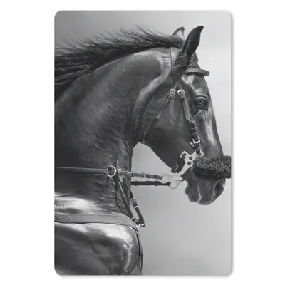 Produktbild von MuchoWow® Mauspad Mousepad Pferde - Schwarz - Porträt - Tiere 18x27 cm - Mousepads - Maus Mat - Pad - Mausunterlage