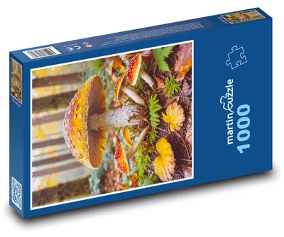 Zdjęcie produktu dla Puzzle 1000 Magiczny Kącik Leśny z Grzybami - martinpuzzle