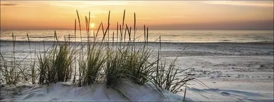 Produktbild von Glasbild Lonely Dune, maritime Strandszene Sonnenuntergang, 80x30 cm