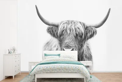 Produktbild von MuchoWow® Fototapete für Wohnzimmer oder Schlafzimmer Wandtapete Vinyl Motivtapete Schottischer Highlander - Tiere - Hörner - Schwarz und weiß - 600x400 cm - Vinyltapeten