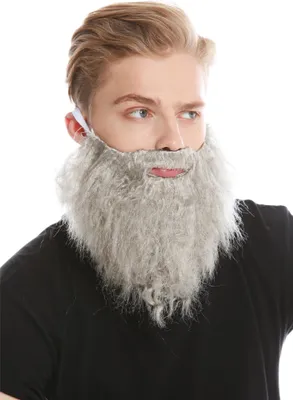 Produktbild von WIG ME UP Bart Vollbart Grau Räuber Prophet Hipster 9537B-ZA68R