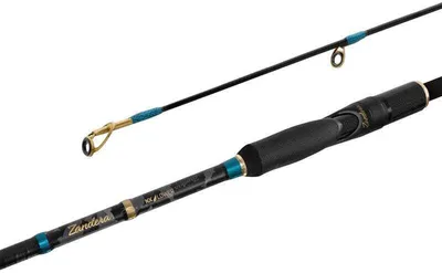 Immagine prodotto di Delphin Zandera NX LOWER 210cm/3-18g/2 parti