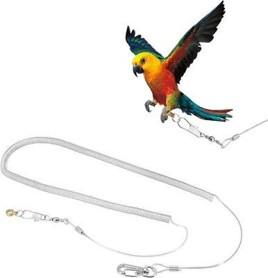 Produktbild von 6 Meter Vogel Fliegen Seil – Einstellbare Anti-Biss Leine für Kakadu, Sittiche und Nymphensittiche, Zufällige Farbe