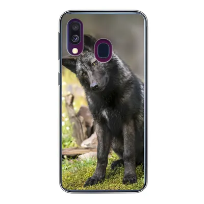 Produktbild von MuchoWow® Handyhülle Schutzhülle Hülle für Samsung Galaxy A40 Wolf - Schwarz - Gras Silikon Softcase Handy Hülle - Handy-Tasche