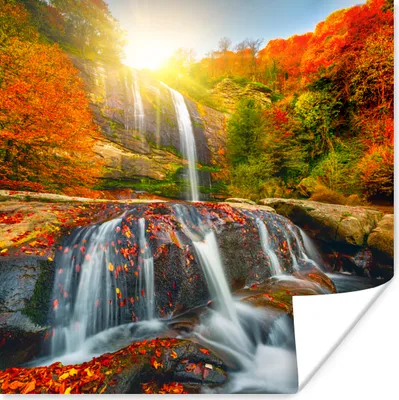 Produktbild von MuchoWow® Poster Wasserfall - Natur - Herbst - Rot - Wasser 75x75 cm - Wand Dekoration