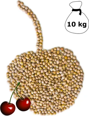 Produktbild von Kirschkerne lose für Wärmekissen Kirschkernkissen 10 kg Kissen Waermekissen Baby Füllung Körnerkissen Kerne Koernerkissen Füllmaterial Kirschkern DML
