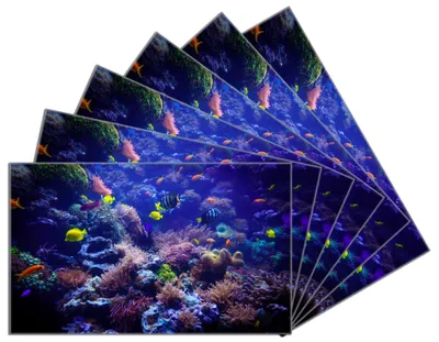 Produktbild von Wallario Frühstücksbrettchen 6er Set aus Glas, je 14 x 23 cm, mit rutschfesten Füßen, Motiv Farbenwelt unter Wasser