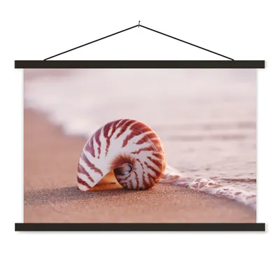 Produktbild von MuchoWow® Textilposter Muschel - Strand - Meer - Sand 120x80 cm mit schwarzem Rahmen - Wanddeko