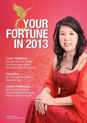 Produktbild von Your Fortune in 2013