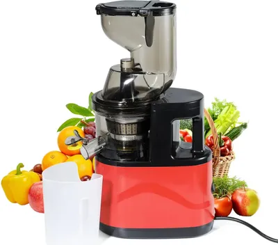 Zdjęcie produktu dla Sokowirówka, wyciskanie całych owoców, łatwe czyszczenie, 500 W