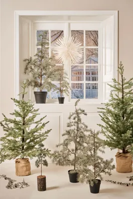 Produktbild von IB Laursen Weihnachtsbaum ZEDER mit Plastiktopf groß | Ø 60 H120cm